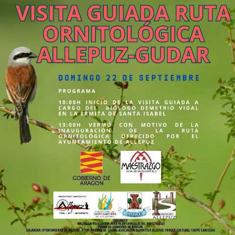 Visita ruta ornitologica